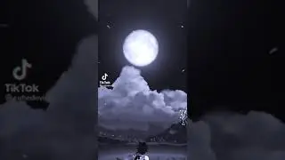 💦Сяо💦 (Genshin Impact)