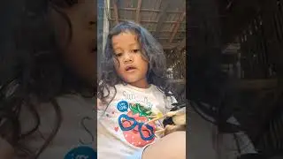 Main main sama hewan peliharaan