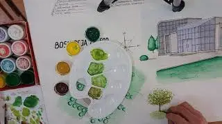 Как нарисовать деревья. Daraxt chizish. Дерево Акварель краска. Drawing tree. Daraxt bo`yash.