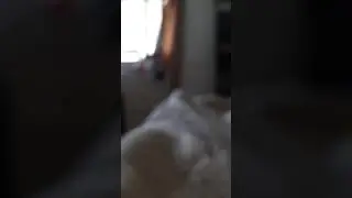 eroico de papel