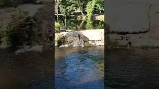 Просто красиво и все #водопады #водопад #водаэтожизнь
