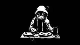 P.O.N.G - My cat is the DJ 