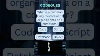 Coding Riddles | Can You Solve This? Check Your Skills. #coding #riddles #learn #enjoy #codingisfun