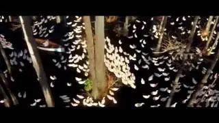 Neslihan- yine yeni yeniden.