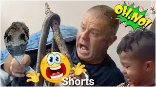 Epic Snake Prank on My Parents