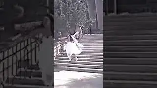 [♡العروس هربت من العرسة♡]