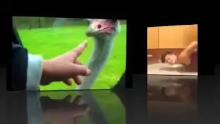 JOKE VIDEOS 2015 COOL COLLECTION 65 JOKE FUNNY Шутки видео прикол 2015