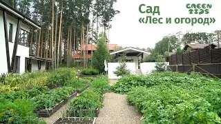 🌿 Garden 