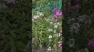 Волгоградский дождик #долгожданный дождь