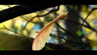 AMBISONIC Leaf - Dolby Atmos spatial audio 360° video vr 4.0 Surround Sound