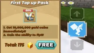 Giving *FREE Fly Mode* In Skyblock! Blockman Go