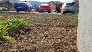 alfa gtv 3.0 turbo, 2x159 2.4 sound