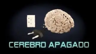 Cerebro Apagado - 01 - Videos Random | Jerrimoster