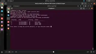 How to Switch PHP Version