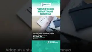 Apa itu Hantavirus, Virus Mematikan yang Paling Mematikan di Dunia, Kenali Gejalanya