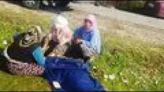 Otomobilin çarptığı traktörüyle arkadaşını ezdi