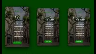 How To Make Pricing Table Using HTML And CSS | Price Plan on Website In HTML & CSS