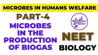 Microbes in the production of biomass | MICROBES In human welfare | Part 4 | Neet | Saumya Maurya