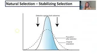 Mechanisms of Evolution 2020