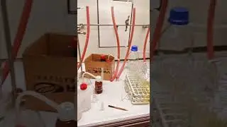 Quando devi pulire la cappa! 