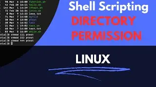 Directory Permission in Linux | Bash shell scripting 