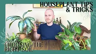 How To Choose & Create The Right Soil Mix | Houseplant Tips & Tricks Ep. 29