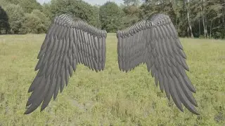 blender simple wing (tutorial)