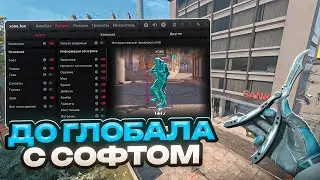 🍏 HOW MANY CHEATERS ARE THERE AT THE MOMENT? // TO GLOBAL WITH SOFTWARE IN CS 2 🍏