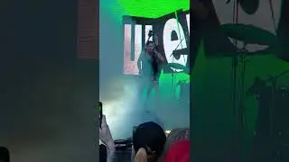 Щенки - Весело (фестиваль)