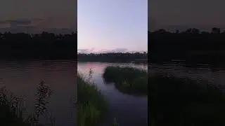 Просто томь #river #shorts