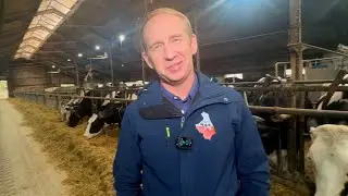 E - ocena nowa inicjatywa hodowców bydła