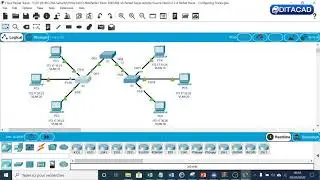 Configuring VLAN trunks