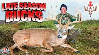 Late Season Bucks - World Record Buck Discussed