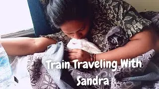Vlog @5 || Travelling Vlog | Travelling With Sandra #vlog  #sonutheangel