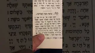 כמה אור. אין איך לעצור את כל הטוב הזה#עםישראל #קסוטו #ישראל