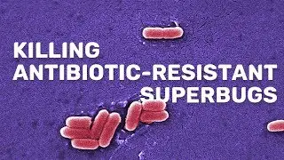 The problem of antibiotic resistance (and how we might solve it)  | Chemistry at Sheffield