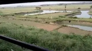 The Train🚃 Travel🧳 Environment♻️ Amazing🤩 #shorts #youtubeshorts #train #travel ✨🚃♻️🔥💯👌👍
