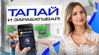 Hamster Kombat: How to Play and Earn