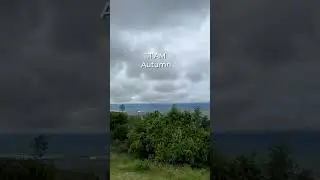 4 Seasons in 1 day 