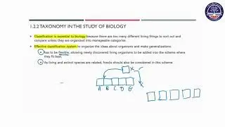 Grade 10 Bio, Chapter 1 , 1.2 TAXONOMY(Page 3)