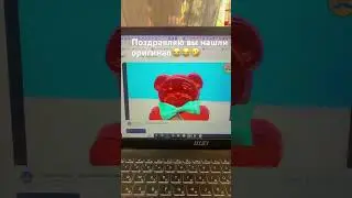 Чириконие моего попугая🥰😊