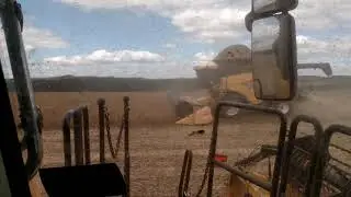CR 9060 Premium - CR 8.90 - colheita de soja