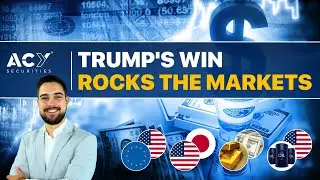 What’s Next for USD, Euro, Gold and Oil - Post US Election Breakdown?