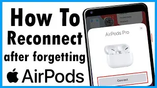 how to reconnect airpods after forgetting device | airpods pro bluetooth connection problem