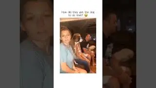 Now the question is how did the dog get the people to do this