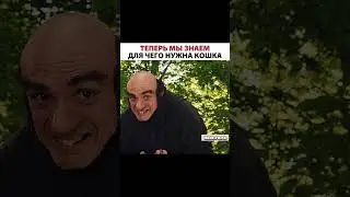 Мультфильм добавили в наш Телеграм, ссылка в описании профиля❤️Подпишись на нас 👉 @hrol.filmss 🧸