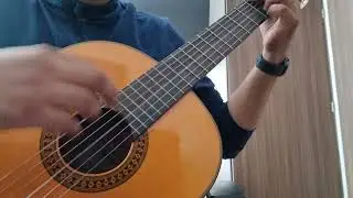 Rammstein - Seemann Fingerstyle with backing track