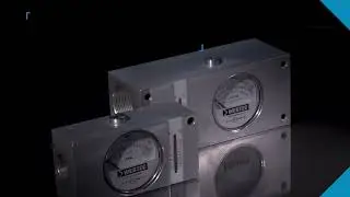 Serie FI1750 Indicador de caudal en línea