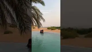 This is your sign to visit Abu Dhabi 🏜️🕌🤍  #shorts #inabudhabi