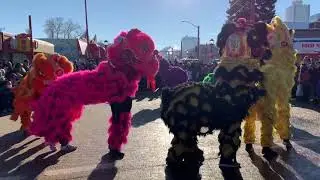 Firecrackers & Lion Dance - Chinatown Edmonton Lunar New Year 2020